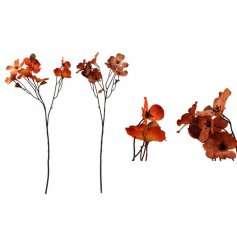 get in the autumn spirit with this lovely spray 