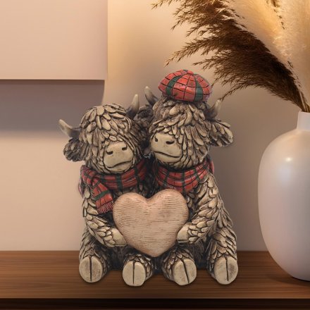 Experience the charm of our heartfelt Highland Cows.