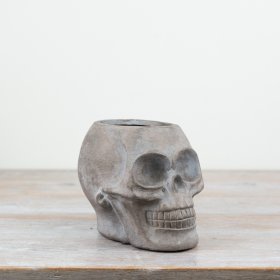 Introduce some eerie charm to your collection with our grey skull planter.