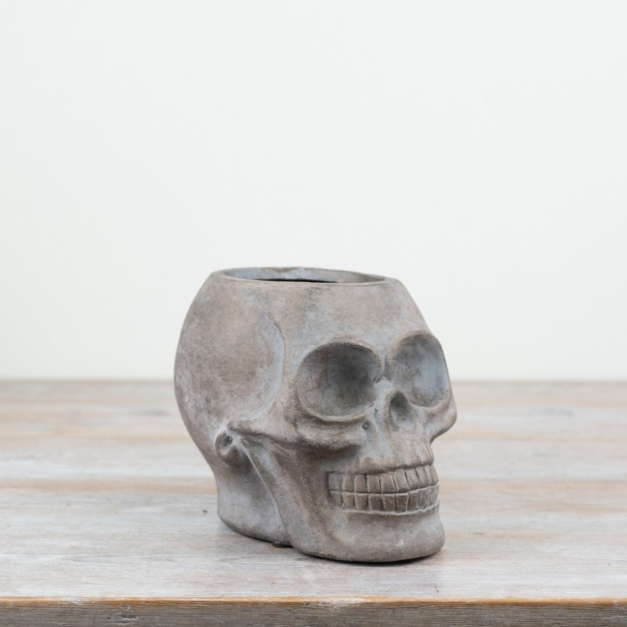 Grey Skull Planter 18cm