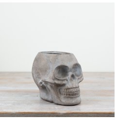 A grey skull planter with a natural finish