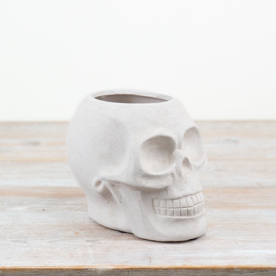 White Skull Planter 14.5cm