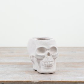 Add a touch of eerie charm to the home with this white skull planter. 