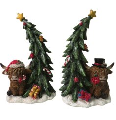 2/A Highland Cow Deco, 16.5cm 