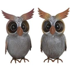 2/A Owl Figurine, 14.5cm 