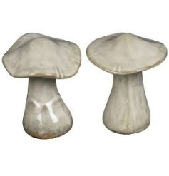 2/A Mushroom Deco, 10cm 