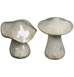 2/A Glazed Mushroom, 15cm 