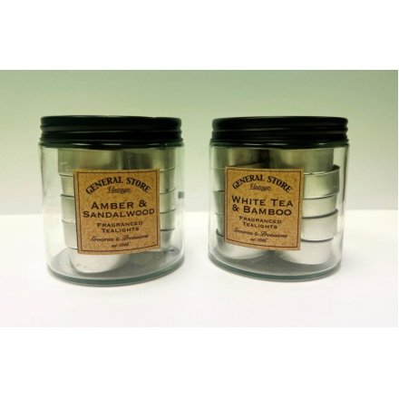 T/Lights in Glass Jar 2/a