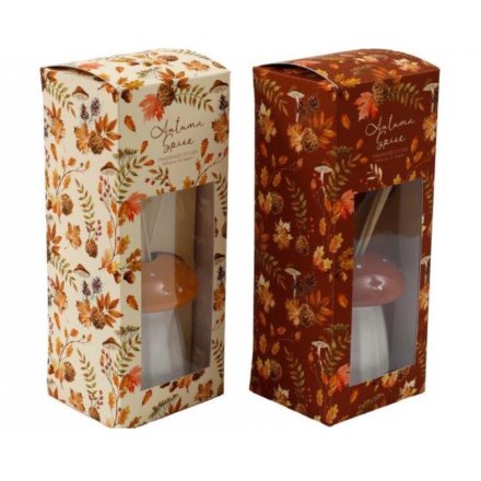 100ml Mushroom Diffuser 2/a