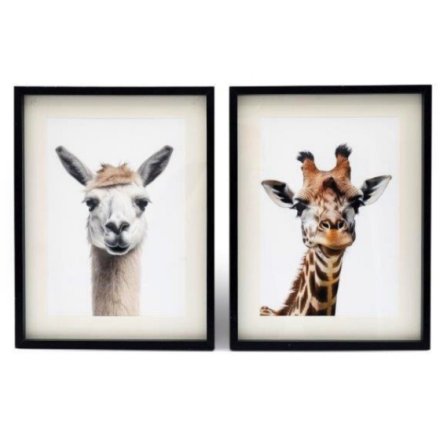 2A Giraffe/ Llama Wall Art, 40cm