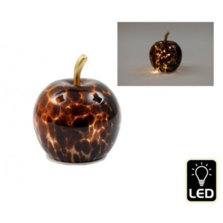 Led Tortoiseshell Apple, 10cm