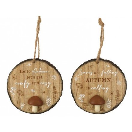  2/a Autumnal Pebble Hanging Plaque