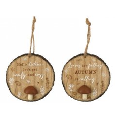  2/a Autumnal Pebble Hanging Plaque
