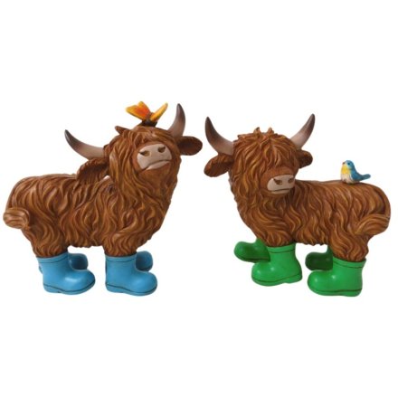 Dress the windowsill with this delightful assortment of 2 highland cows each wearing brightly coloured wellies.