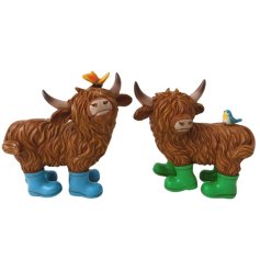 Dress the windowsill with this delightful assortment of 2 highland cows each wearing brightly coloured wellies.