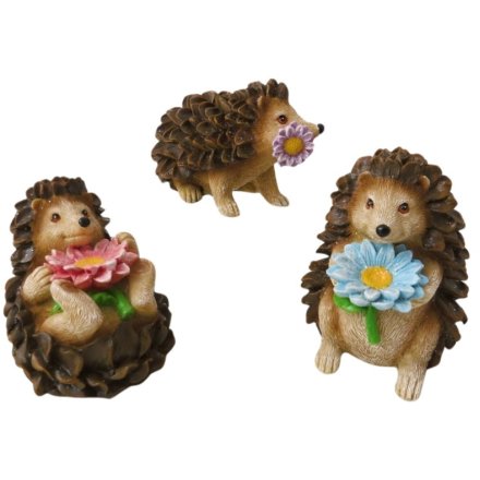 Add a touch of woodland charm to the home and garden this spring with this delightful and colourful assortment of 3 hedg