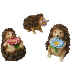 Add a touch of woodland charm to the home and garden this spring with this delightful and colourful assortment of 3 hedg
