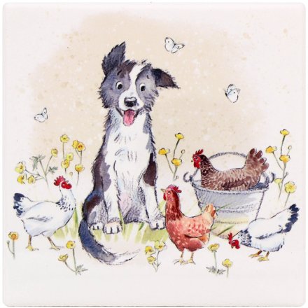 Collie & Hens Coaster, 10cm 