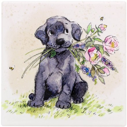 Dog With Flowers Coaster, 10cm 