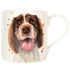 Get ready to paws and take a sip with the must-have Springer Spaniel Mug! 
