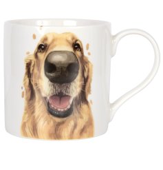 a charming illustration of a golden retriever with its signature friendly smile.