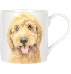 Get ready to sip in style with our paw-some Cockapoo mug - a must-have for any doggo lover!