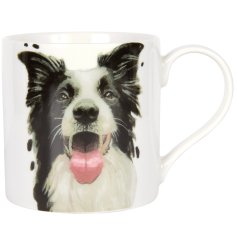 Calling all dog lovers! Meet the must-have Collie Mug,