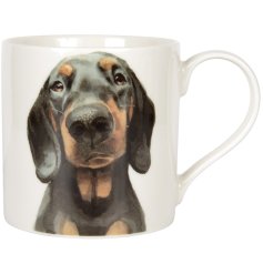 Get ready to add a paw-some touch to your mug collection with our adorable Dachshund Mug!