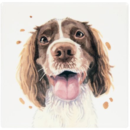Springer Spaniel Coaster, 10cm 