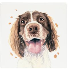 Add a touch of British charm and protect your surfaces with our Springer Spaniel Coaster 