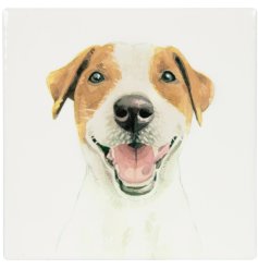 stylish doggy coaster 