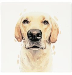the nations favourite dog on a coaster 