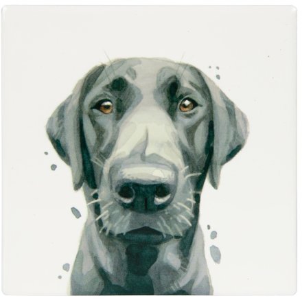 Black Labrador Coaster, 10cm 