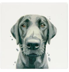 stylish dog design coaster 