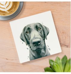 stylish dog design coaster 