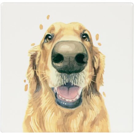 Golden Retreiver Coaster, 10cm 
