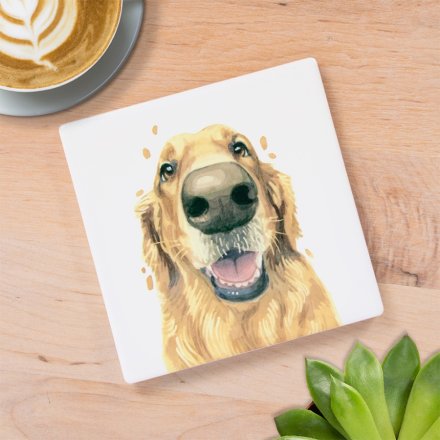 Golden Retreiver Coaster, 10cm 