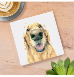 Add a paw-sitively charming touch to your home with our Golden Retriever Coaster 
