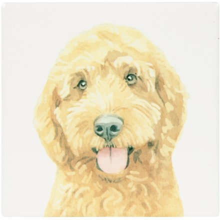 Cockapoo Coaster, 10cm 