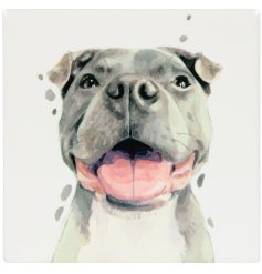  a charming staffie coaster
