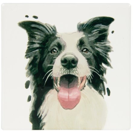 Collie Coaster, 10cm 