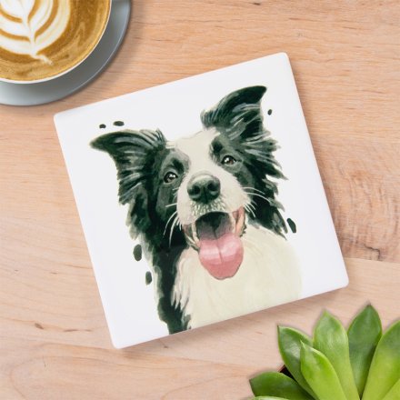 Collie Coaster, 10cm 