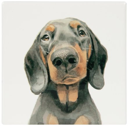 Dachshund Coaster, 10cm 