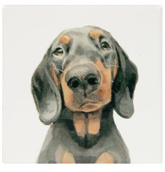 Add some paws-itive charm to your home with the Dachshund Coaster 