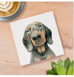 Add some paws-itive charm to your home with the Dachshund Coaster 
