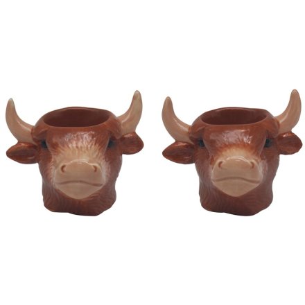 Highland Cow Egg Cups, 16cm 