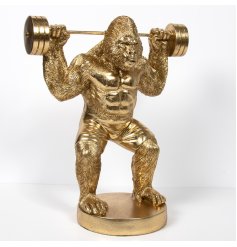 Get ready to elevate your home decor with our bold and beautiful Gorilla Lifting Bar Bell Statue,