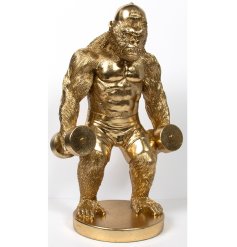 add some fun to your home deco with this muscly gym gorillia 