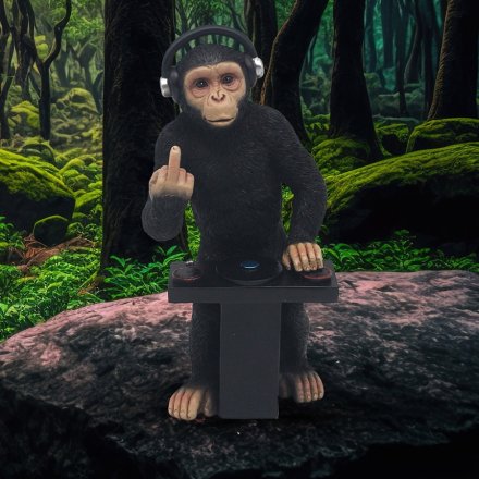 Add some cheeky charm to your home with our mischievous and musical Cheeky Monkeys Dj! 