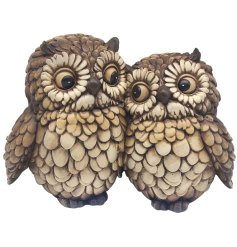 charming  owl decoration .